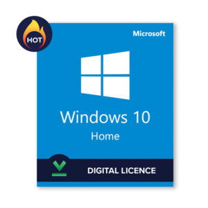 Windows 10 License