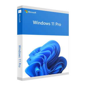 Windows 11 License