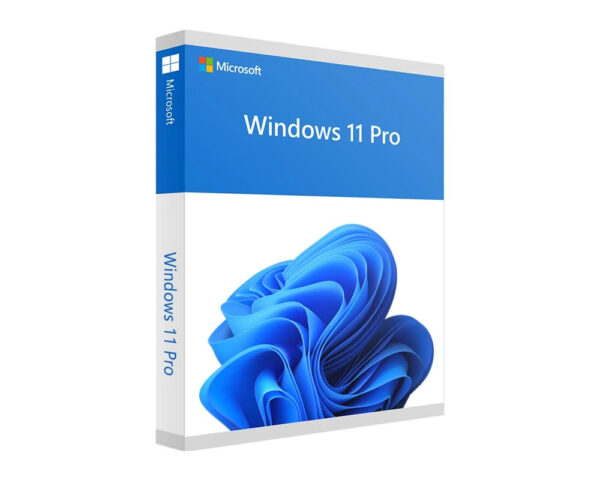Windows 11 License